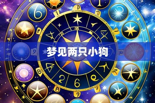 梦见两只小狗