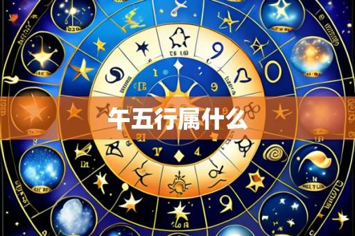 午五行属什么