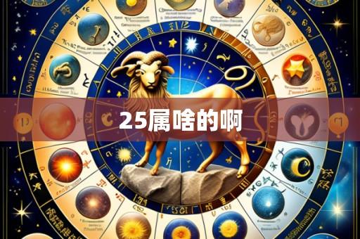 25属啥的啊
