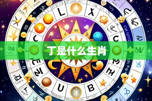 丁是什么生肖