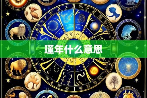 瑾年什么意思