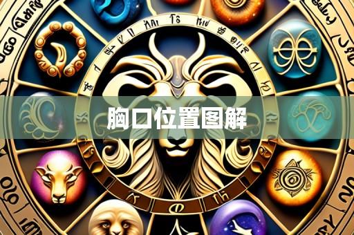胸口位置图解