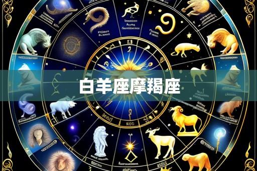 白羊座摩羯座
