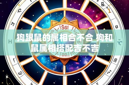 狗跟鼠的属相合不合 狗和鼠属相搭配吉不吉