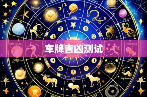 车牌吉凶测试