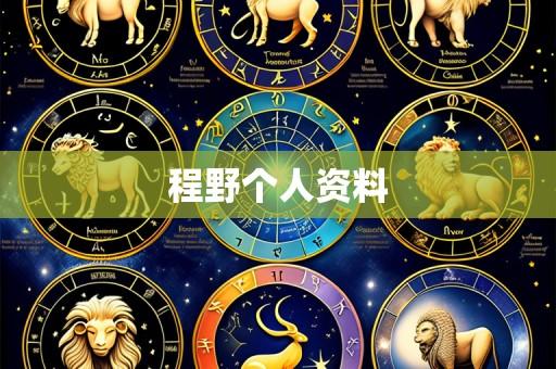 程野个人资料