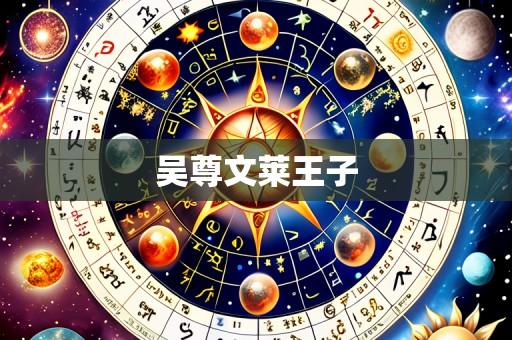 吴尊文莱王子