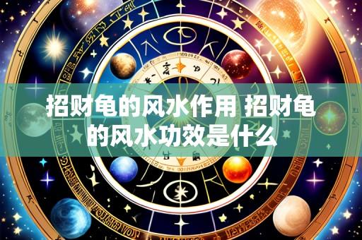 招财龟的风水作用 招财龟的风水功效是什么