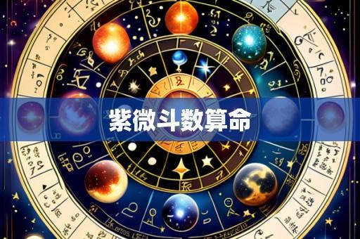紫微斗数算命