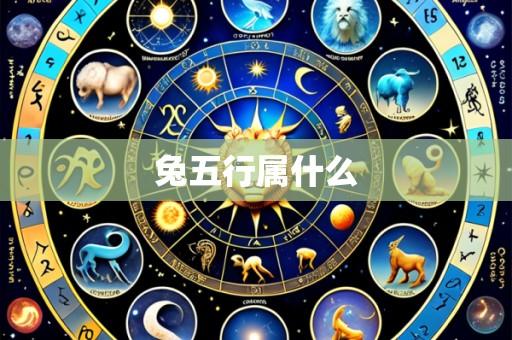 兔五行属什么