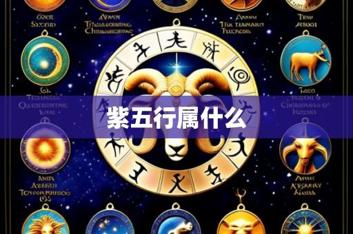 紫五行属什么