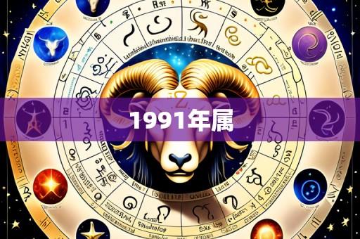 1991年属