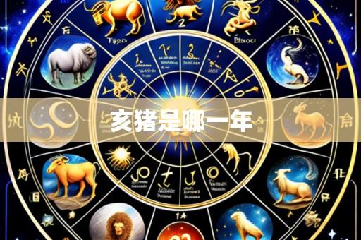 亥猪是哪一年