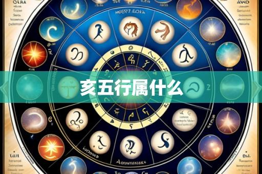 亥五行属什么