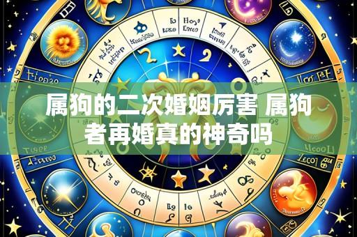 属狗的二次婚姻厉害 属狗者再婚真的神奇吗