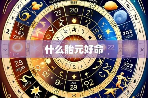 什么胎元好命