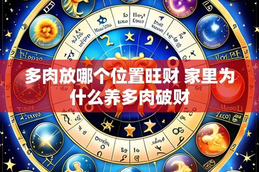 多肉放哪个位置旺财 家里为什么养多肉破财