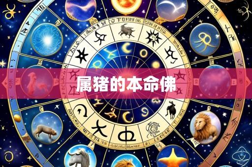 属猪的本命佛