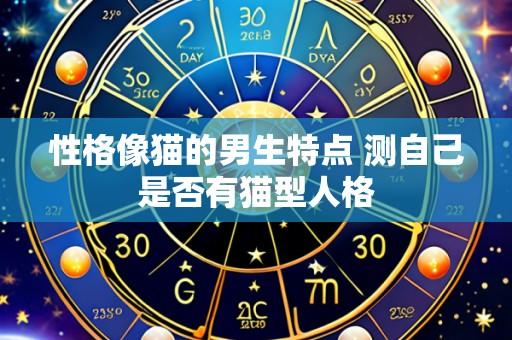 性格像猫的男生特点 测自己是否有猫型人格