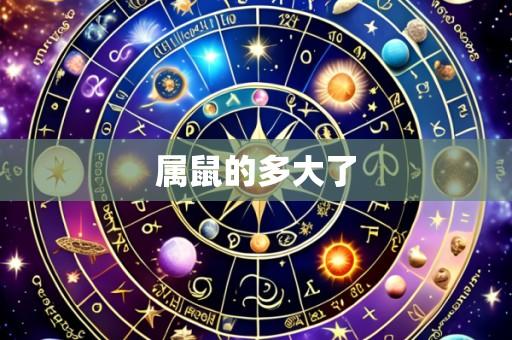 属鼠的多大了