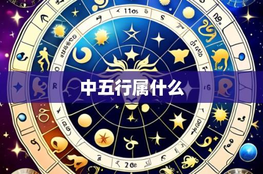 中五行属什么