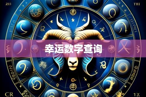 幸运数字查询