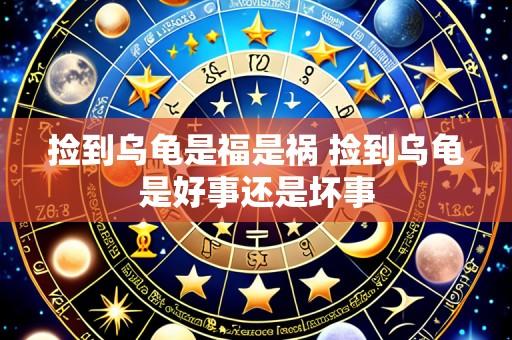 捡到乌龟是福是祸 捡到乌龟是好事还是坏事