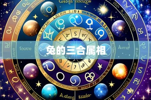 兔的三合属相