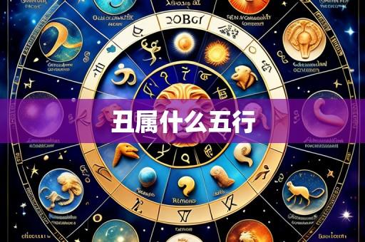 丑属什么五行