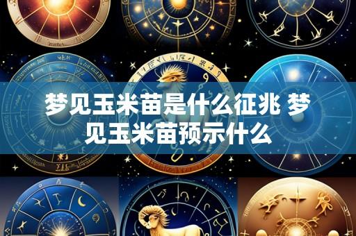 梦见玉米苗是什么征兆 梦见玉米苗预示什么