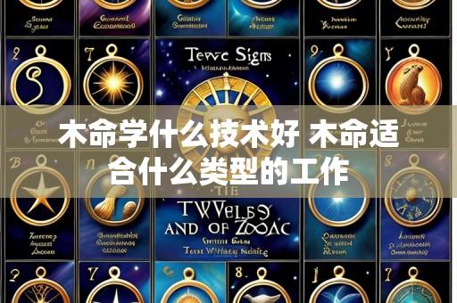 木命学什么技术好 木命适合什么类型的工作