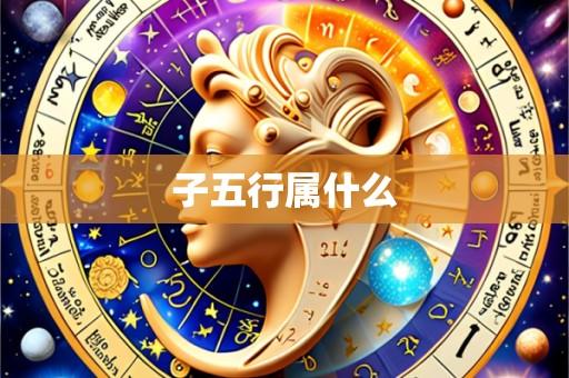 子五行属什么
