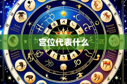 宫位代表什么