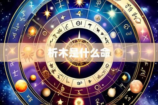 析木是什么命
