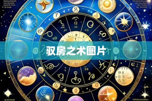 驭房之术图片