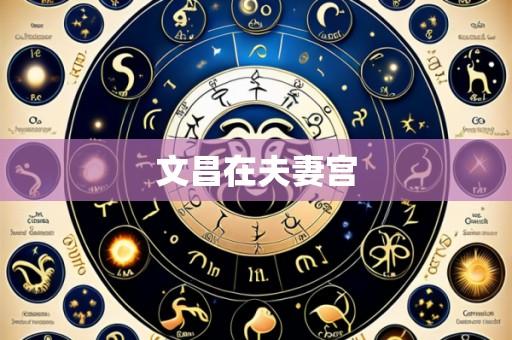 文昌在夫妻宫