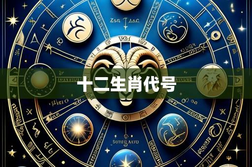 十二生肖代号