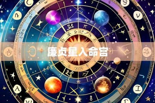 廉贞星入命宫