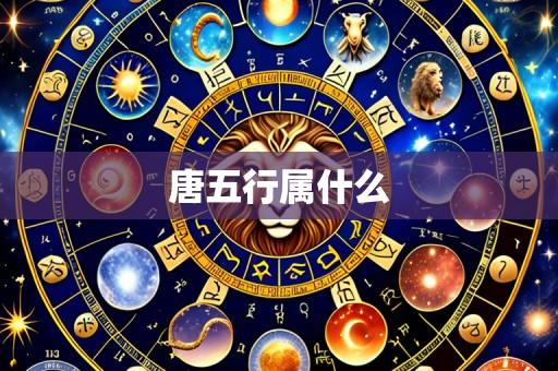 唐五行属什么
