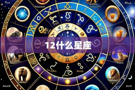 12什么星座
