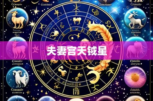 夫妻宫天钺星