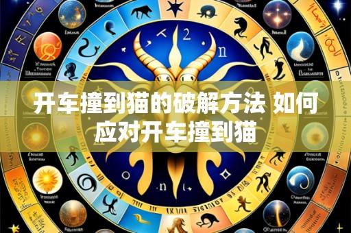开车撞到猫的破解方法 如何应对开车撞到猫