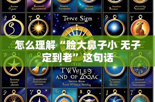 怎么理解“脸大鼻子小 无子定到老”这句话