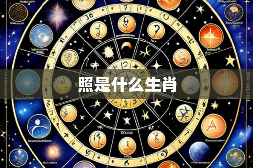 照是什么生肖