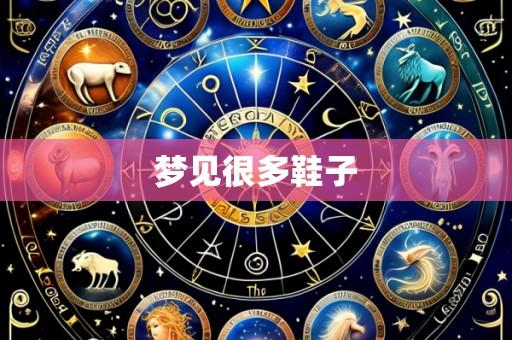 梦见很多鞋子