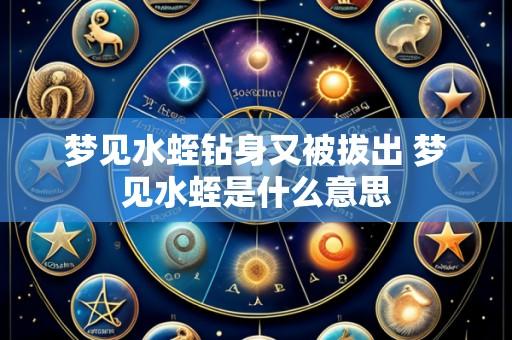 梦见水蛭钻身又被拔出 梦见水蛭是什么意思