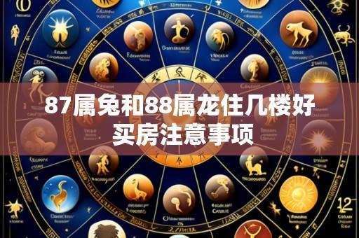87属兔和88属龙住几楼好 买房注意事项