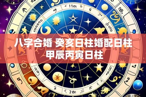 八字合婚 癸亥日柱婚配日柱 甲辰丙寅日柱