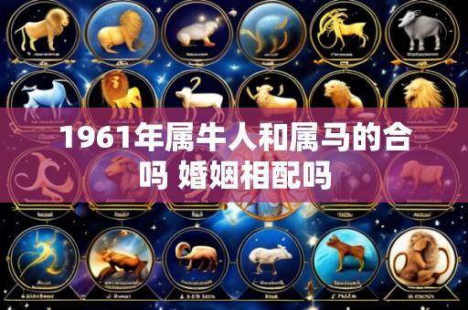 1961年属牛人和属马的合吗 婚姻相配吗