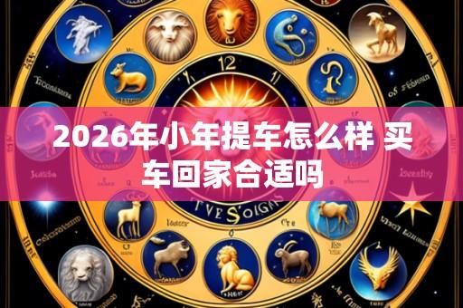 2026年小年提车怎么样 买车回家合适吗